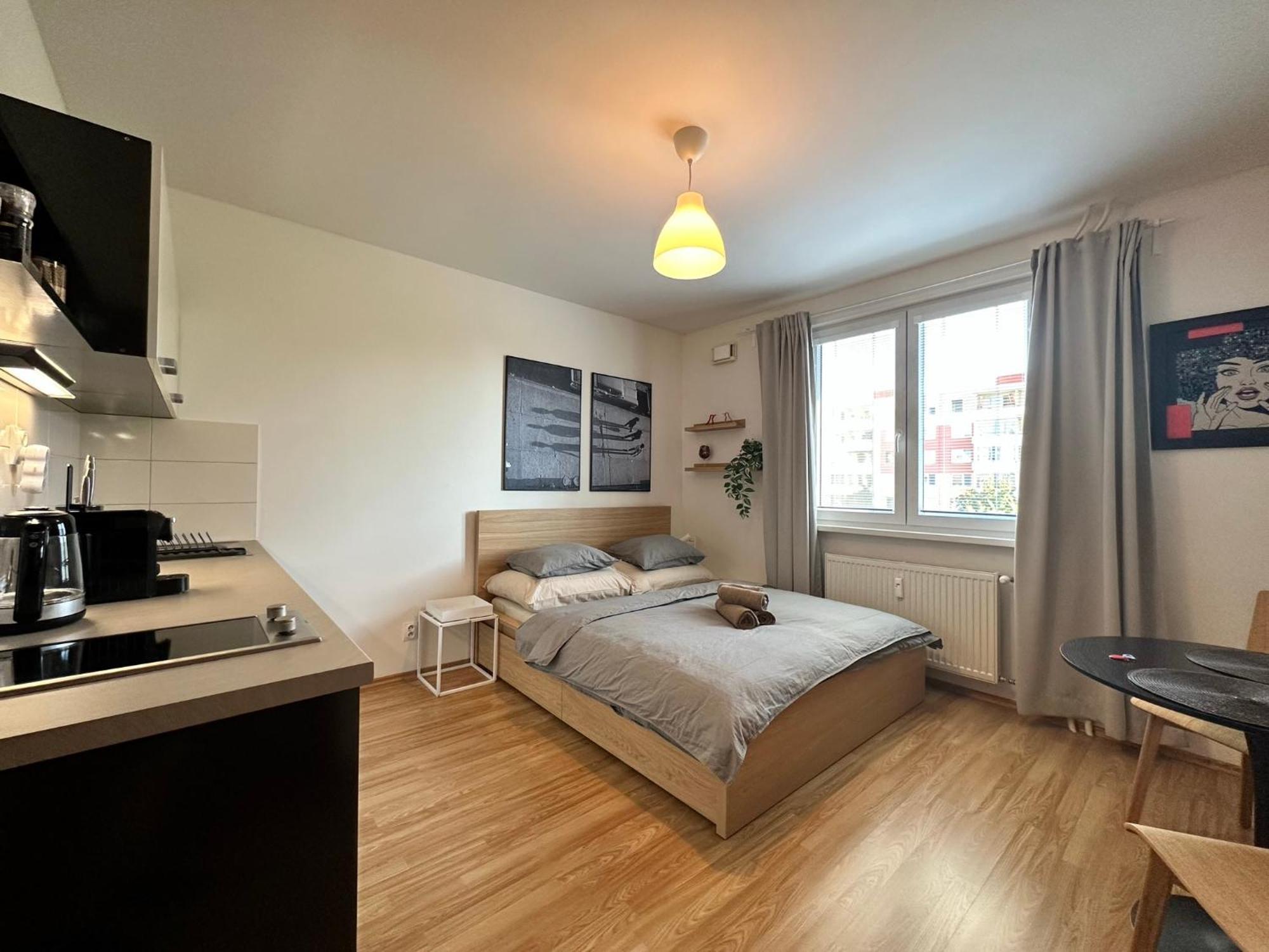 Cozy Studio Apartment In The Wider Center Pozsony Kültér fotó